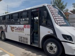 Empresa de Irapuato «TEB», obtiene permisos para operar cuarta ruta de transporte