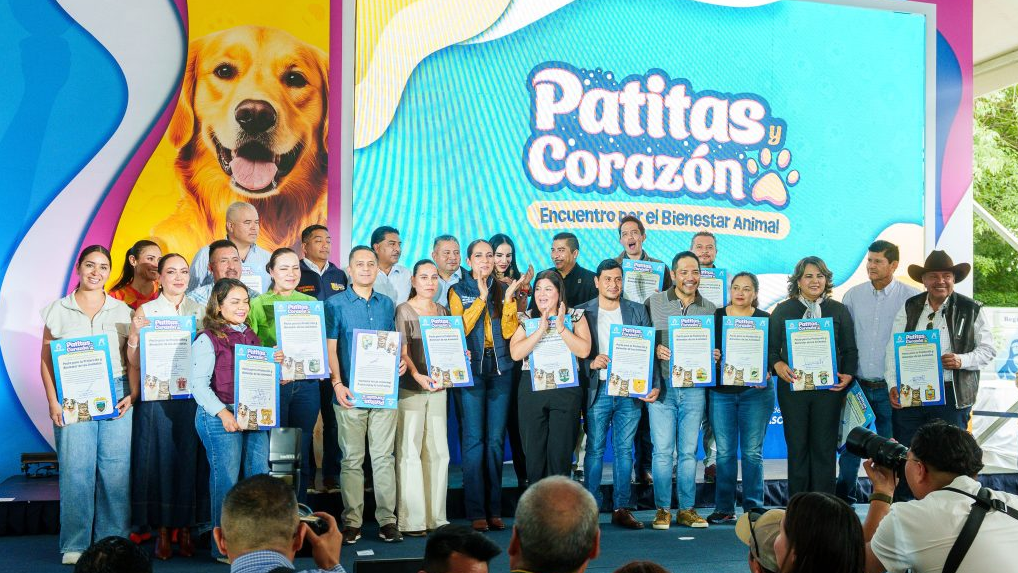 Captura de pantalla 2026-10-04 172047
